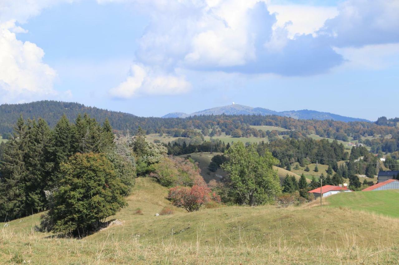 Au Coeur Du Lapidaire Septmoncel-Les-Molunes Exterior foto