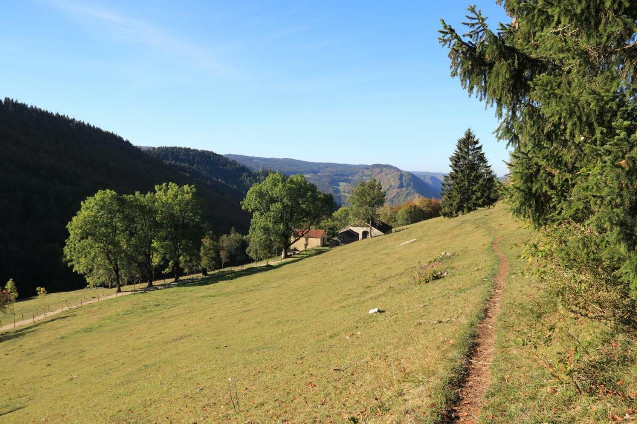 Au Coeur Du Lapidaire Septmoncel-Les-Molunes Exterior foto
